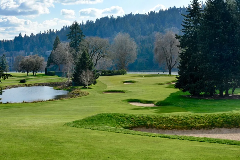 A tree-lined golf course with a putting green.